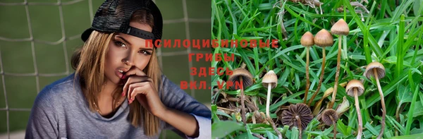 прущая мука Абдулино